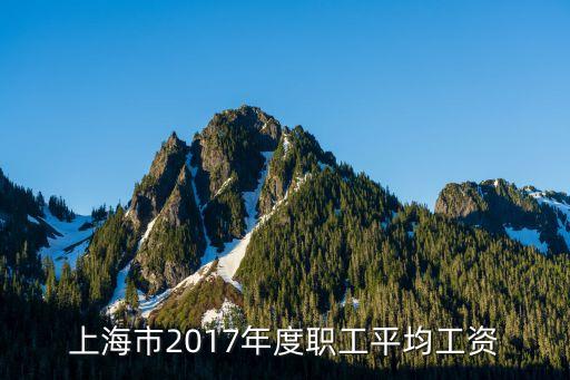 上海市2017年度职工平均工资