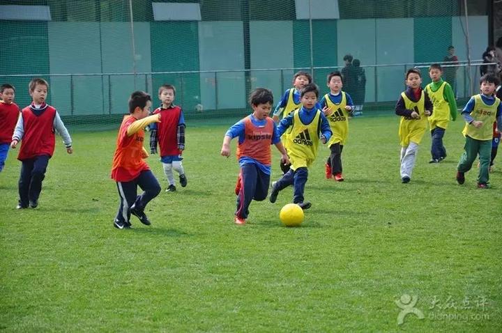 中国的体育学校_中国体育学校哪个学校比较好_中国学校体育