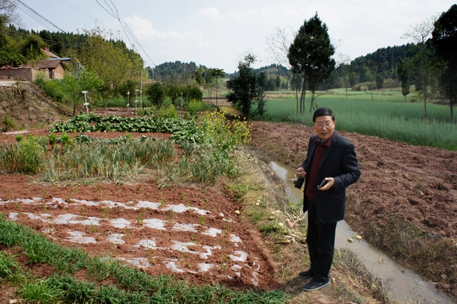 重庆历史简介_重庆历史_重庆历史天气