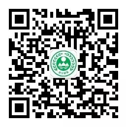 治理主体责任社会是什么意思_社会治理的主体责任是_治理主体责任社会是什么