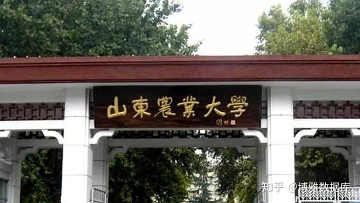 山东文史类大学排名_山东文史资料_山东文史