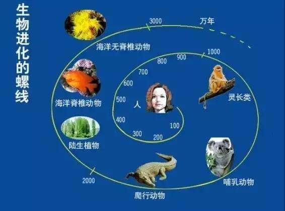 人类探索地球奥秘的历史过程_人类探索地球的历程_历程地球探索人类的故事