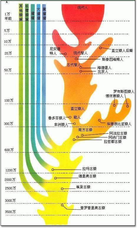 历程地球探索人类的故事_人类探索地球奥秘的历史过程_人类探索地球的历程