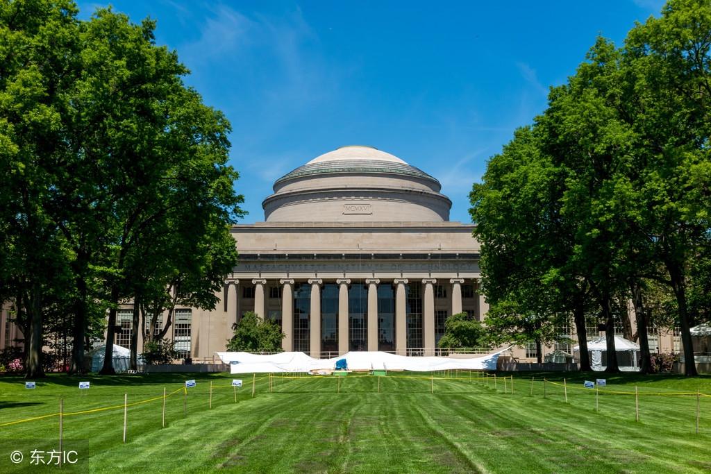 清华大学美国_野鸡大学美国_美国学