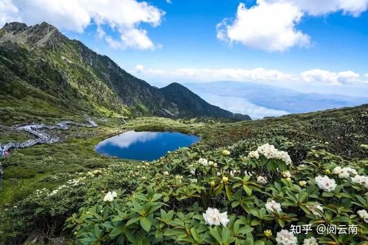 舞狮的来源和传说历史_历史传说_传说历史故事
