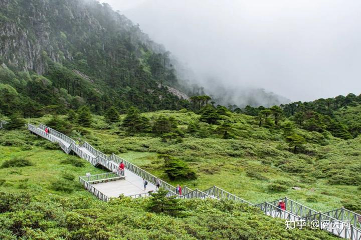 传说历史故事_历史传说_舞狮的来源和传说历史