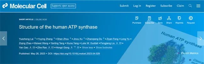 不明觉厉！南开团队解析人源ATP合成酶三维结构