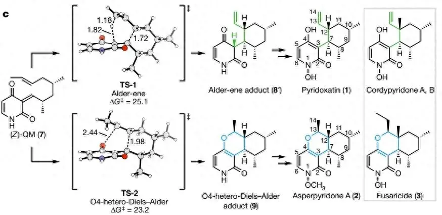 酶科学史流程图_酶的研究简史_酶的研究历史