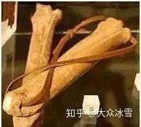 历史短道速滑韩国最强4人接力_历史短道速滑名将_短道速滑历史