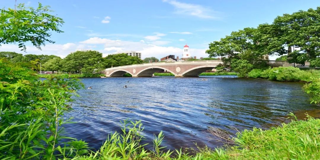 bc大学美国_清华大学美国_美国学