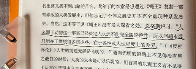 社会秩序的重要性_举例说明社会秩序的重要性_秩序的重要价值和意义