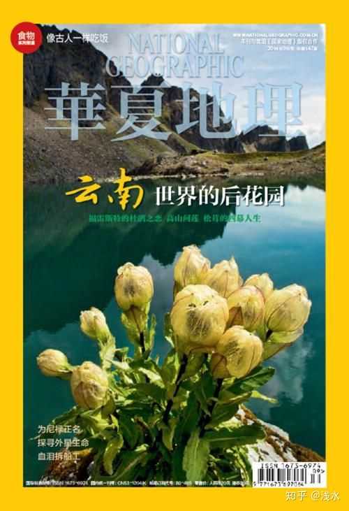 文史杂志是c刊吗_文史类杂志_文史杂志社