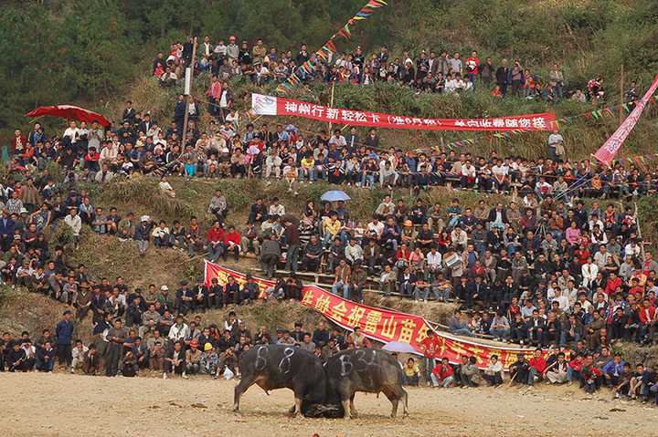 贵州旅游文史系列丛书_贵州旅游文史_贵州文史旅游集团招聘