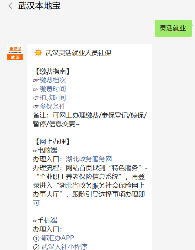 武汉社会保险业务网站个人查询_武汉社保明细在哪里查询_武汉社会保险查询
