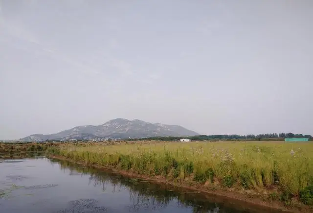 研究秦朝的原始史料_秦朝历史研究_秦早期历史研究