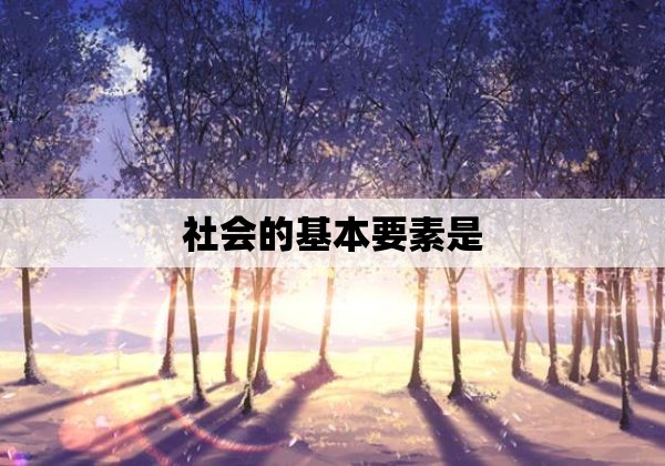 社会的基本要素是