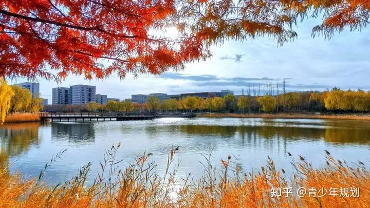 中国学生体质健康网登录_中国学生体质健康网_体质健康网学校id