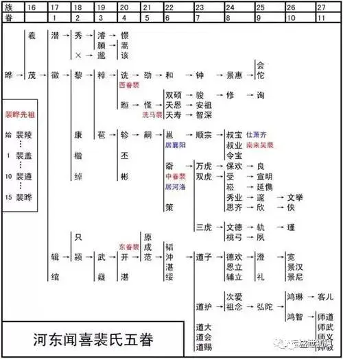 裴注_裴注诸葛亮传_裴注什么意思