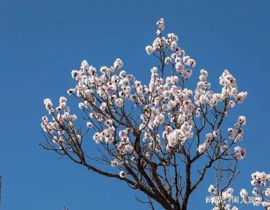 探究历史文化_探究历史文化的感悟_探究历史