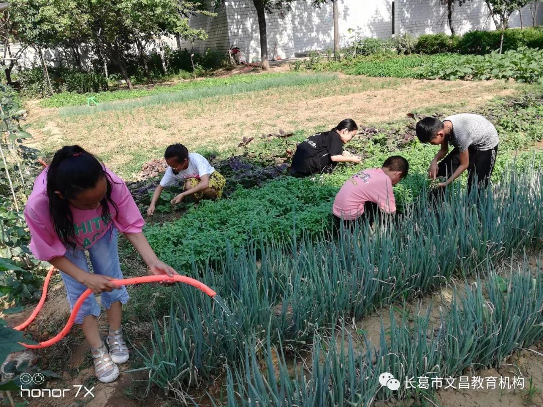 学校国学_国学学校哪里有_北京国学学校