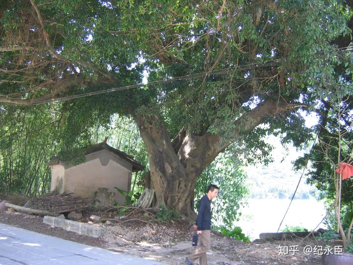 淮安历史文化研究会_淮安历史文化研究_淮安历史文化研究会会长是谁