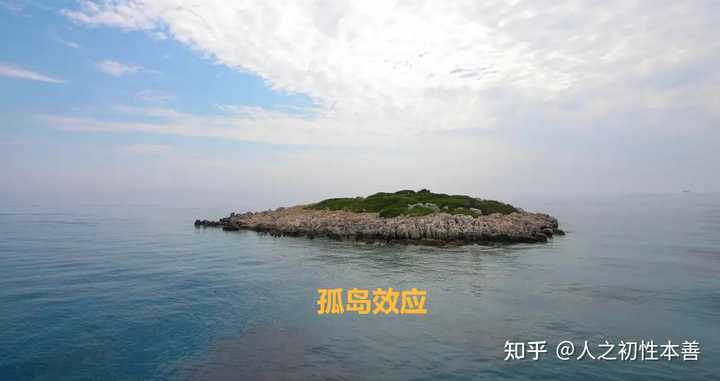 海南乐东罗马名人_海南江西商会名人_海南的历史名人