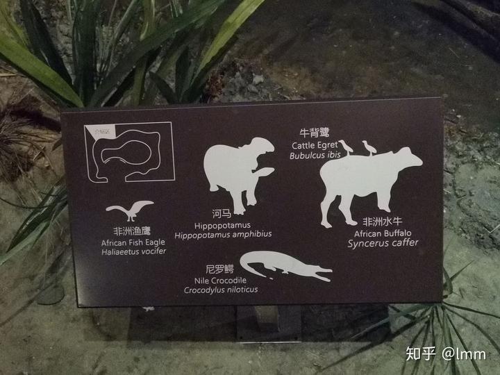 深圳博物馆历史文物_深圳历史博物馆_深圳历史博物馆文物介绍