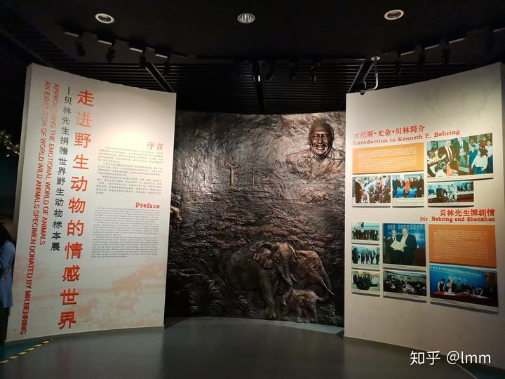 深圳博物馆历史文物_深圳历史博物馆_深圳历史博物馆文物介绍