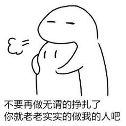 社会摇社会摇_什么叫社会摇_会摇社会摇