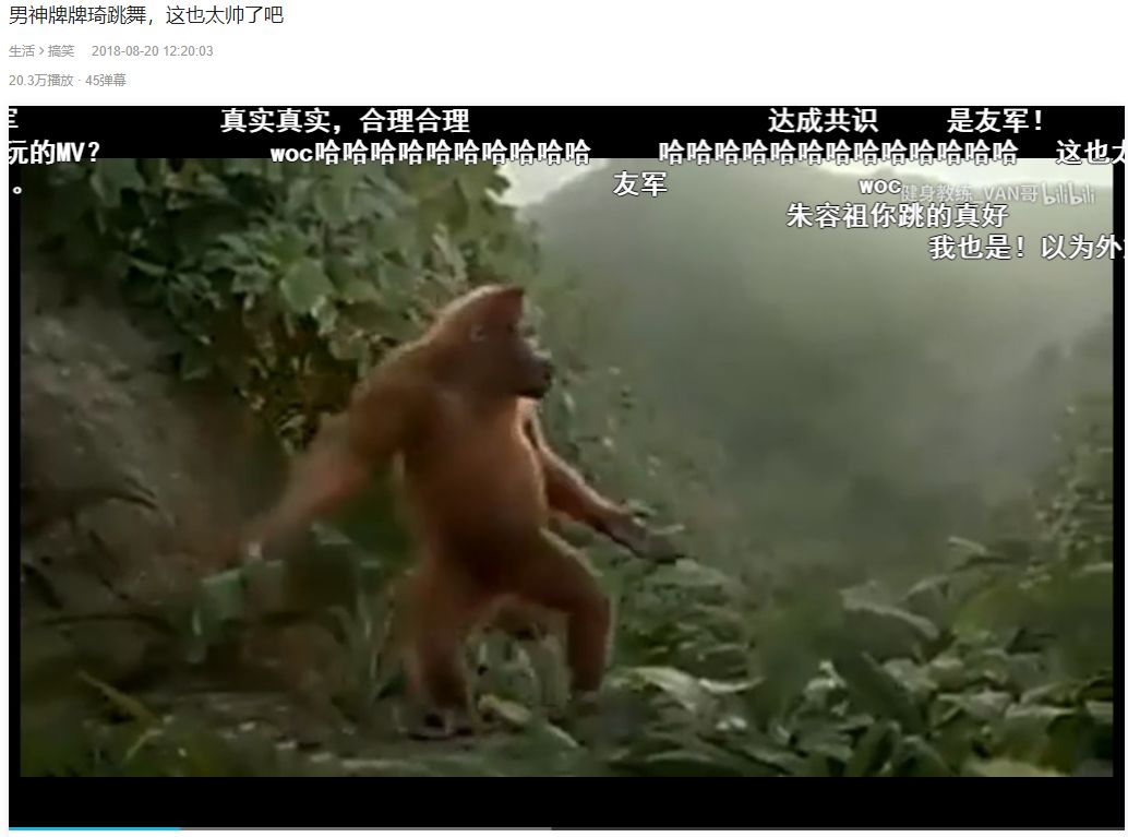 会摇社会摇_社会摇社会摇_什么叫社会摇