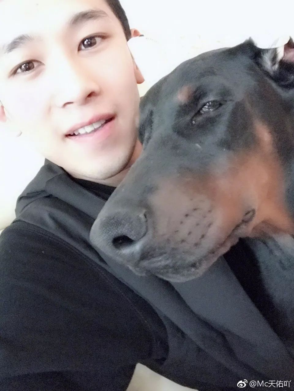 社会摇社会摇_社会摇摇_什么叫社会摇