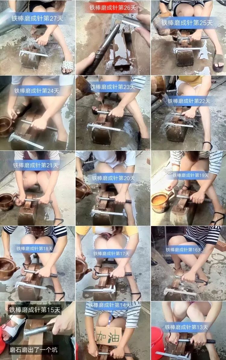 什么叫社会摇_社会摇摇_社会摇社会摇