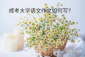 写作文史记_写作历史_文史写作