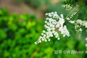 文史写作_写作文史记_写作历史