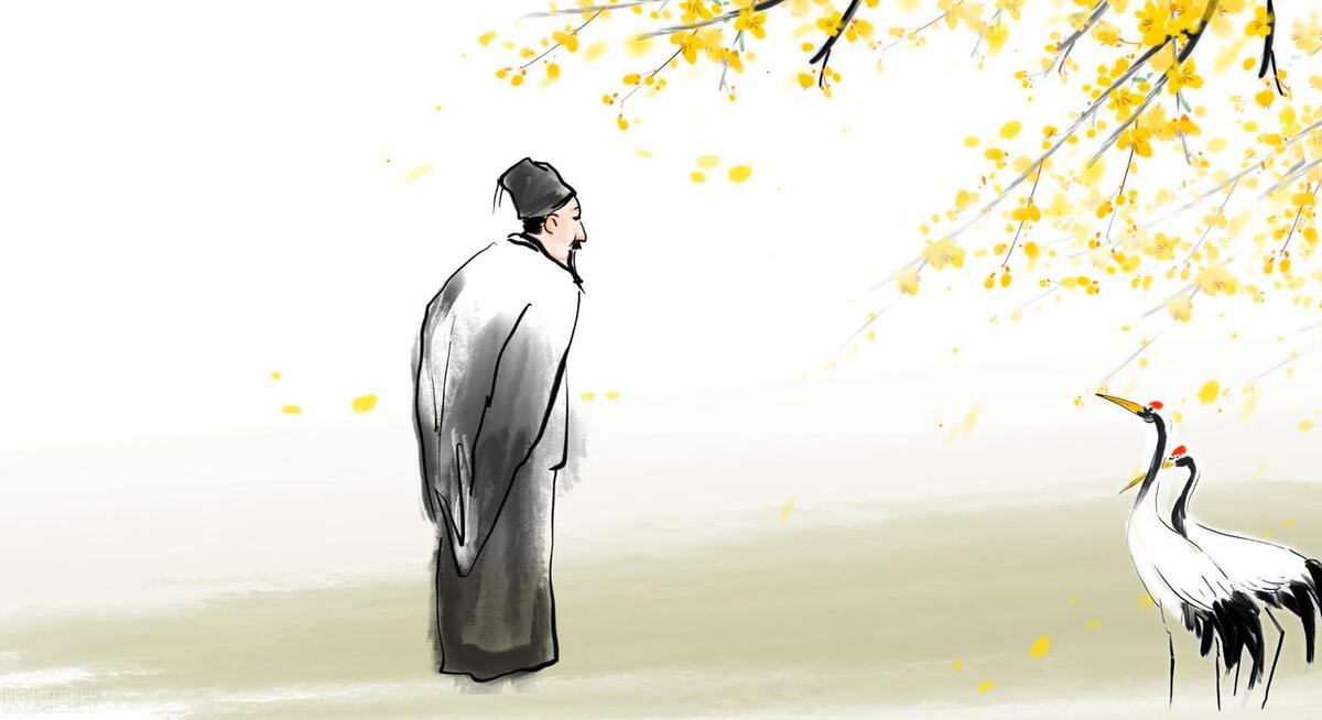 社会责任感_责任感对社会的重要性_责任感社会层次