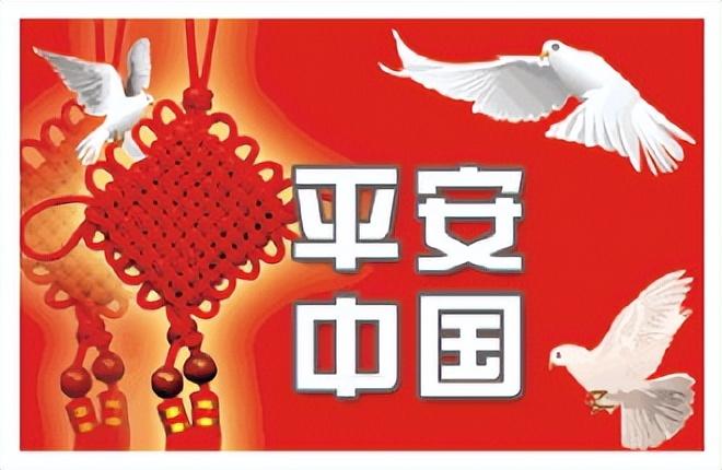 切实提高社会治理的四化水平_提升社会治理四化水平_着力推进社会治理四化
