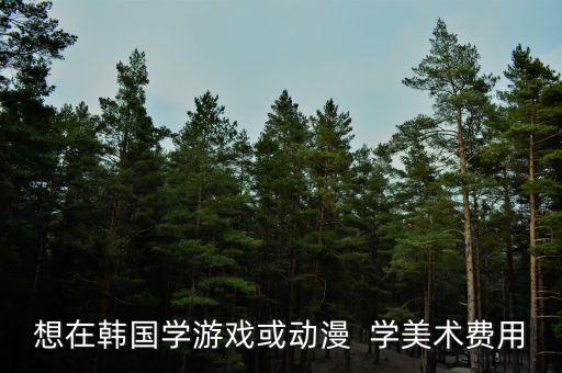 想在韩国学游戏或动漫  学美术费用