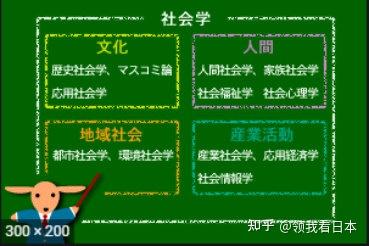 领域社会不说谎话小班教案_社会领域_领域社会支持