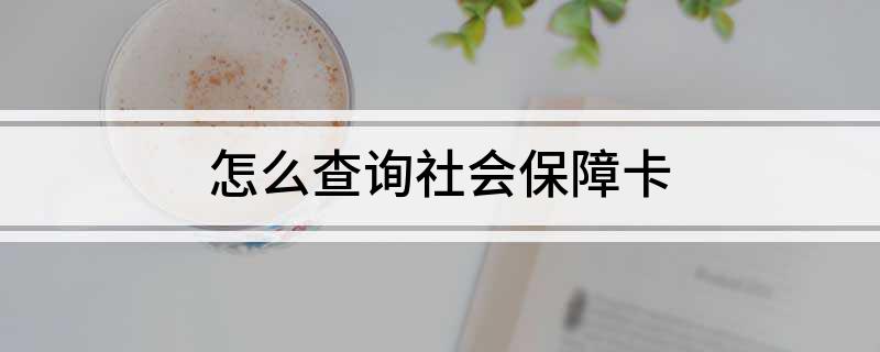 怎么查社会保障卡_如何查到社会保障卡_怎么查询社会保障卡