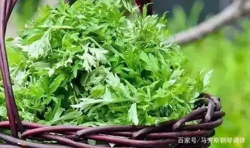 端午节的人物纪念_端午节纪念人物及相关故事_端午节纪念的历史人物