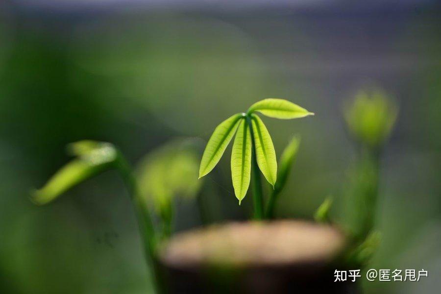 墨家重要人物_墨家代表人物_人物墨家代表什么生肖