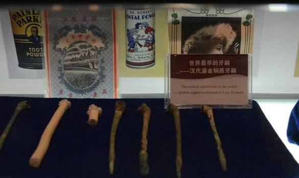 种植牙历史_种牙的历史有多久_种植牙历史