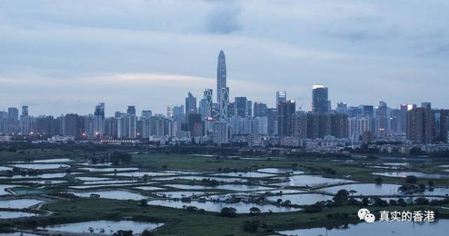 香港历史开奖记录查询2023_香港历史博物馆_香港的历史