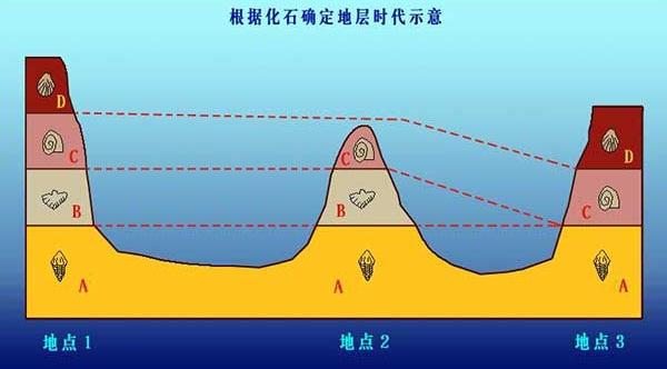 途径地球历史研究主要研究内容_途径地球历史研究主要包括_研究地球历史的最主要途径