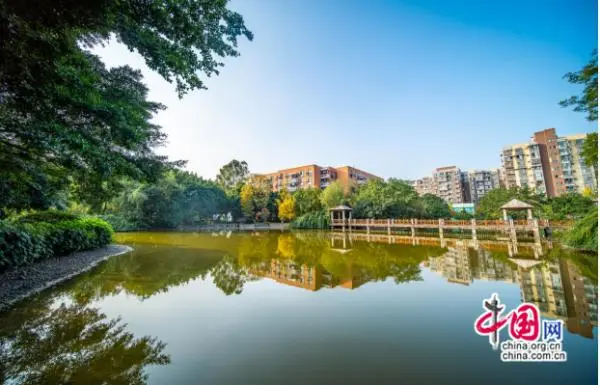 教育部人文社会科学研究项目_教育部人文社会科学研究项目_教育部人文社会科学研究项目