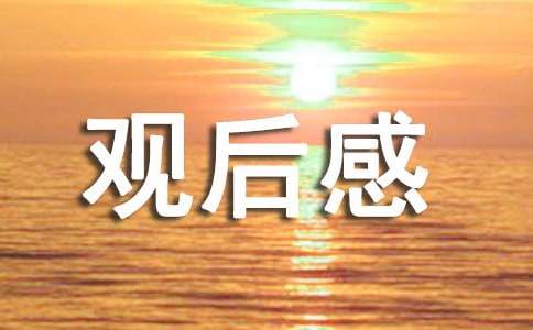 第三届国学小名士观后感1500字「精选」