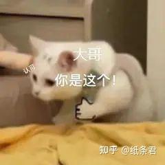 世说新语_语世新说两则_世说新语言语是什么意思