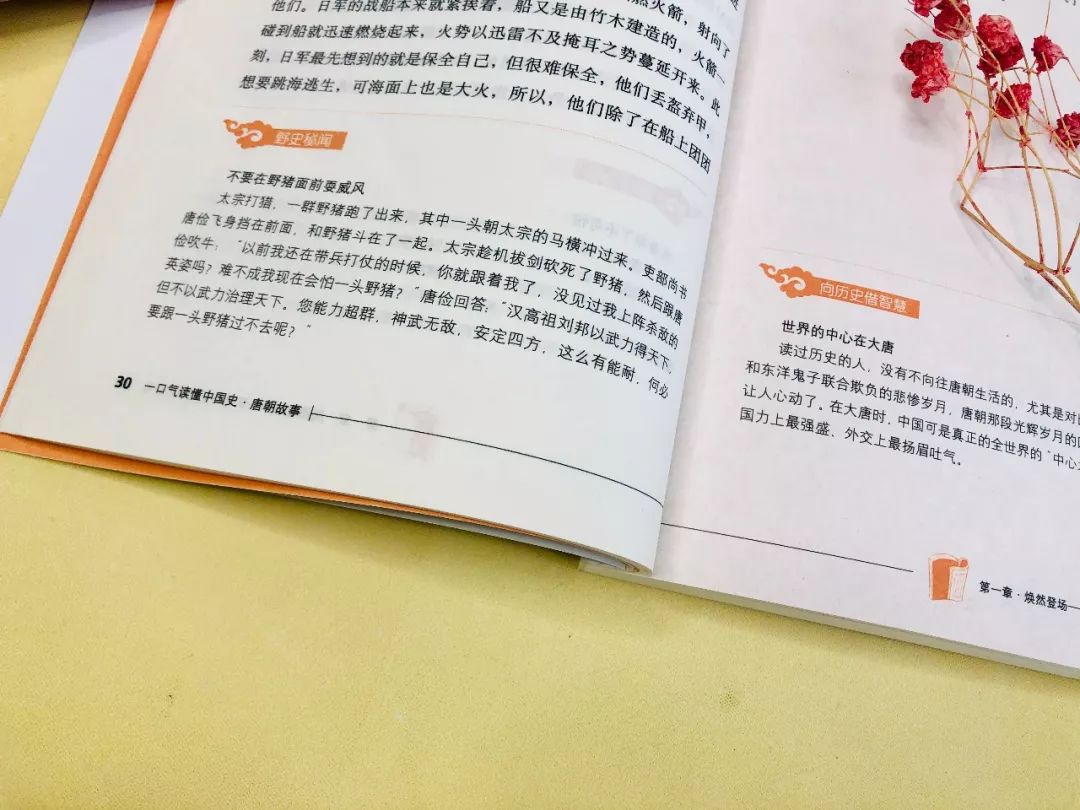 历史名人有趣的野史_野历史有趣_趣味名人