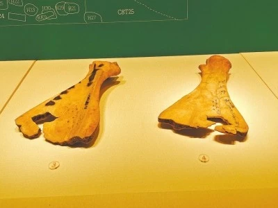 商都历史文化区_商都历史区文化特色_商都历史区文化遗址介绍
