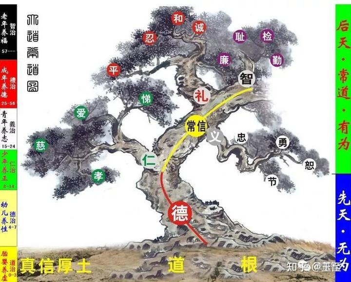 中国的国学_国学中国功夫武术操_国学中国工艺美术大师